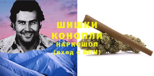 дмт Богородск