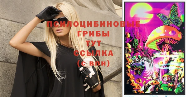 ALPHA PVP Богородицк