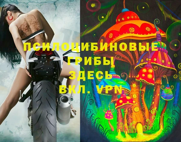 ALPHA PVP Богородицк
