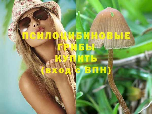 ALPHA PVP Богородицк