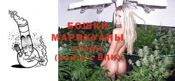 ALPHA PVP Богородицк