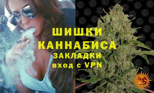 ALPHA PVP Богородицк