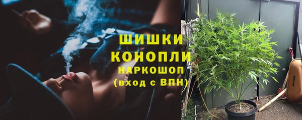 дмт Богородск