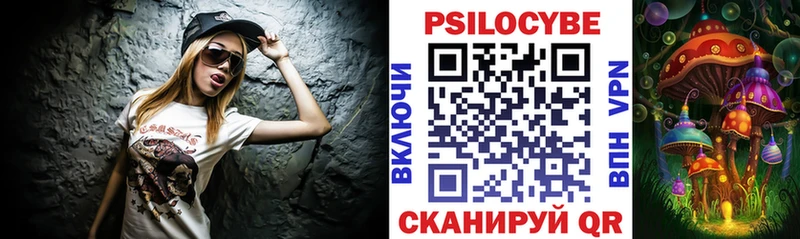 купить   mega ссылки  Галлюциногенные грибы Psilocybe  Химки 